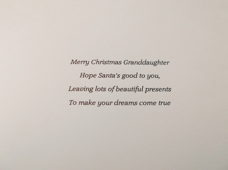 Joy Of Christmas 8 by Shirley Thompson