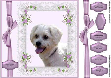 Lace Floral Frames by Shirley Thompson