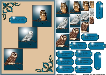 Birds on Branches by Shirley Thompson