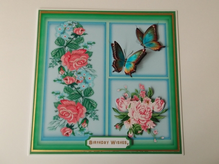 Butterflys and Roses  by Shirley Thompson