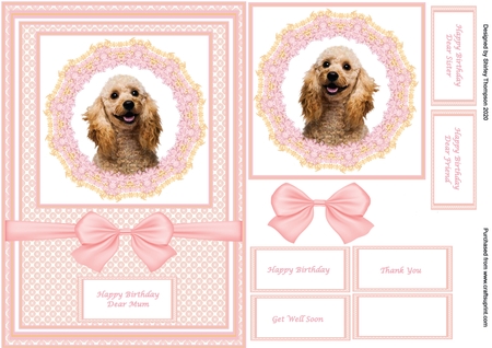 Cute Flower Corners 8 by Shirley Thompson