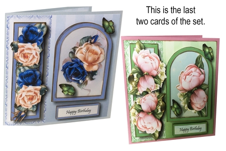 Floral Arched Frame Bumper Kit 3 by Debbie Bastian