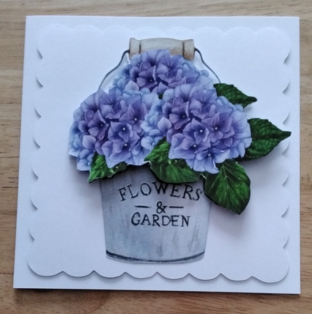 Hydrangeas in a bucket by Amanda Cousins