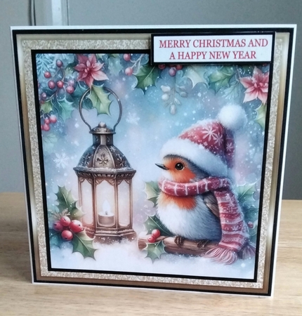 CHRISTMAS ROBIN by Amanda Cousins