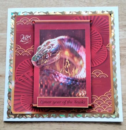 year of the snake by Amanda Cousins