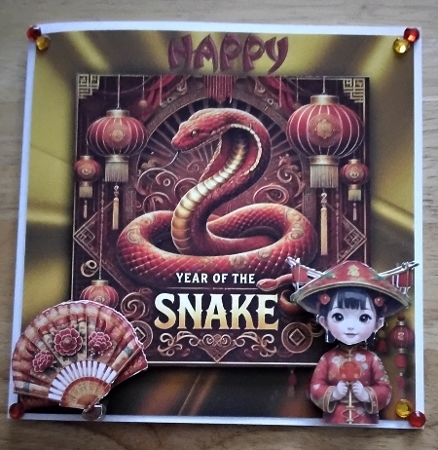 Year of the Snake by Amanda Cousins