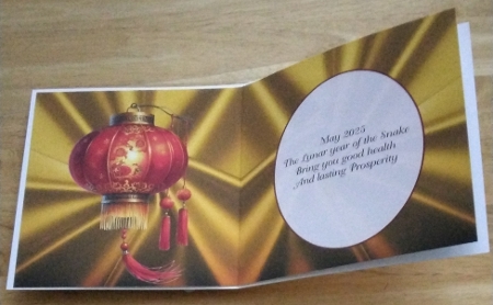 Year of the Snake by Amanda Cousins