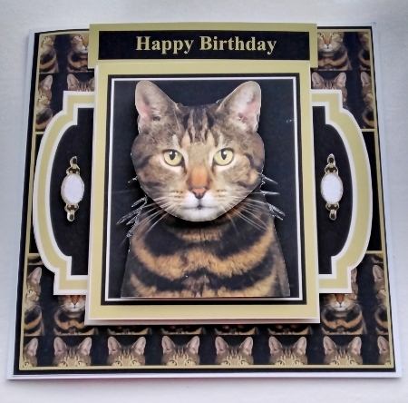 Gorgeous Tabby Cat 7x7 Minikit by Amanda Cousins