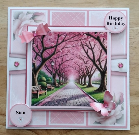 Cherry Blossom Avenue by Amanda Cousins