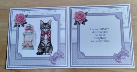 CUTE CATS make your own pic by Amanda Cousins