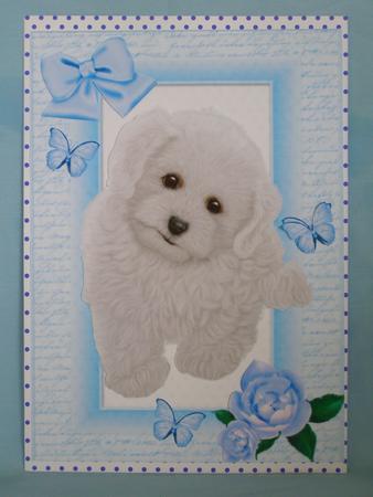 Beautiful Fluffy White Puppy A4 by Margaret Nichol