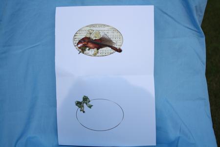 A Musical Symphony Insert by Margaret Nichol
