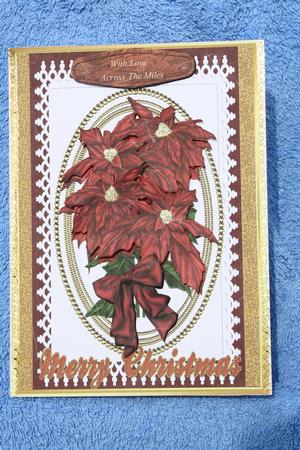 Beautiful Poinsettia's on Lace by Margaret Nichol