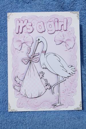Cute Baby Girl! Carried by a Stork by Margaret Nichol