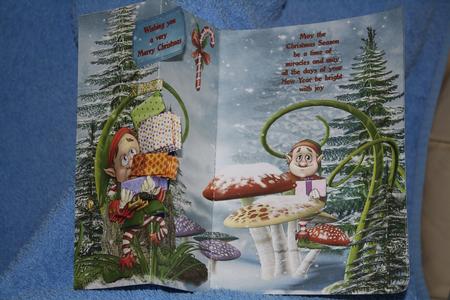 Don't Just Stand There Foldback Kit by Margaret Nichol