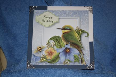 Beautiful Bird Green & Blue by Margaret Nichol