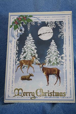 Beautifil Christmas Winter Scene by Margaret Nichol