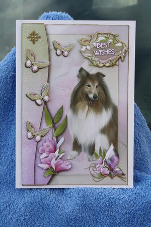 Collie with Magnolia & Butterflies by Margaret Nichol