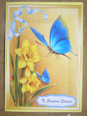 Beautiful Daffodils and Blue Butterflys  by Margaret Nichol