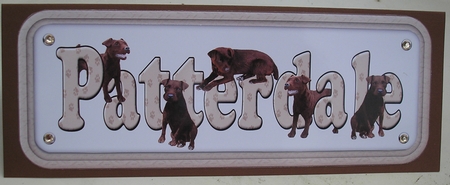 Patterdale Name sign  by Lynne Pettit