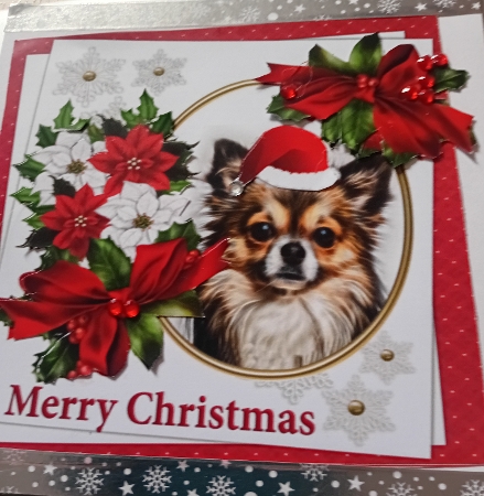 7x7 Chihuahua Christmas wishes by Laura Jones