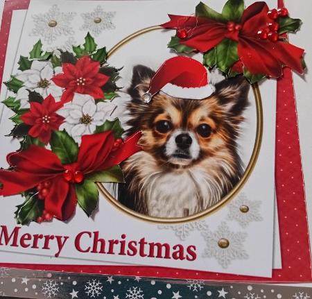 7x7 Chihuahua Christmas wishes by Laura Jones