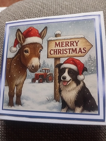 the christmas sign donkey by Laura Jones