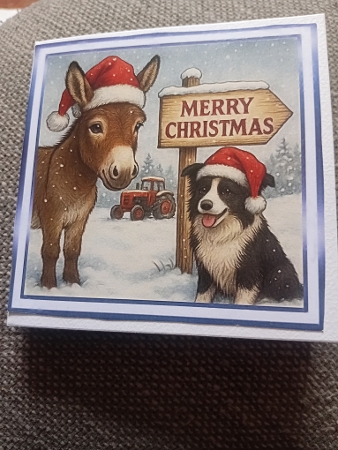 the christmas sign donkey by Laura Jones
