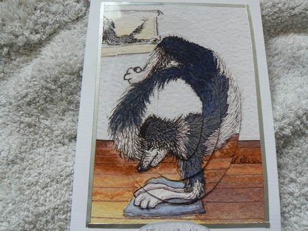 His Tail Wasn't an Advantage When Doing Yoga Oval Pyramage by Laura Jones