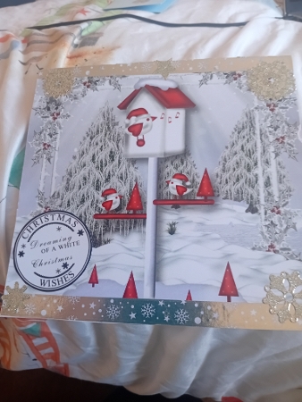 The Snowy Christmas Birdhouse Featured Gallery Photo