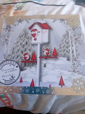 The Snowy Christmas Birdhouse by Laura Jones