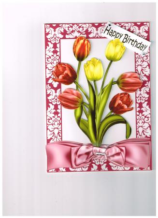 Pretty Shades of Tulips in Floral Frame Featured Gallery Photo