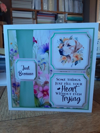 2 Panel floral pup card front 2 by Ann Davies