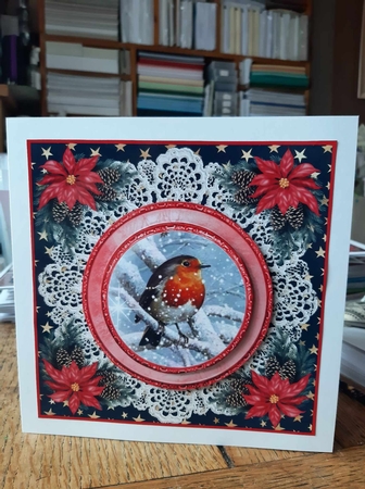 3 Christmas robin card front/toppers 6 by Ann Davies