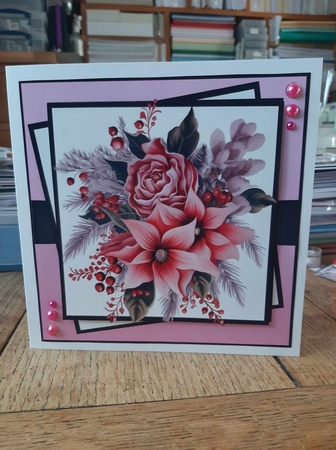 PINK POINSETTIA by Ann Davies