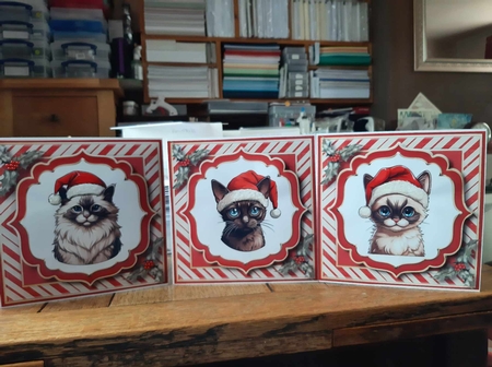 Christmas Cats In Santa Hats 2 Multi Topper Kit by Ann Davies