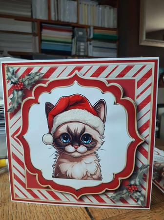 Christmas Cats In Santa Hats 2 Multi Topper Kit by Ann Davies