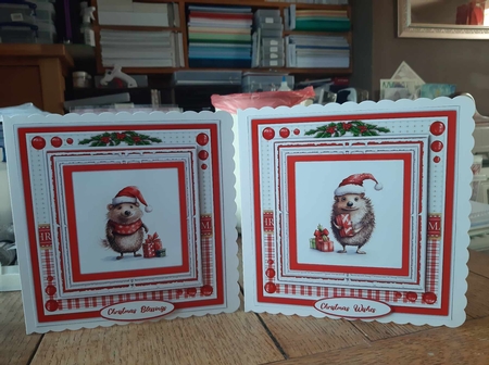 8x8 Mini Kit, Gorgeous Hedgehog Blessings by Ann Davies
