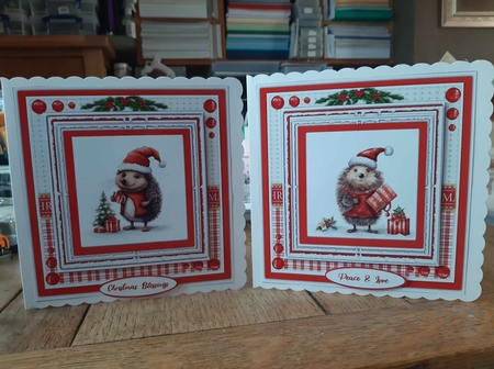 8x8 Mini Kit, Gorgeous Hedgehog Blessings by Ann Davies