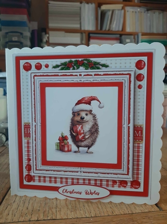 8x8 Mini Kit, Gorgeous Hedgehog Blessings by Ann Davies