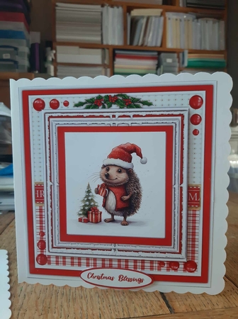 8x8 Mini Kit, Gorgeous Hedgehog Blessings by Ann Davies