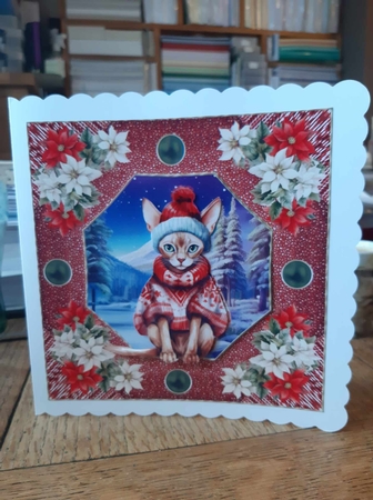 Christmas cat card front 1 by Ann Davies