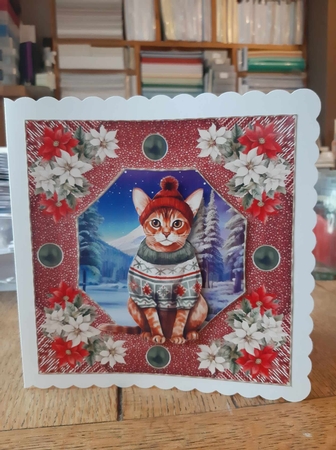 Christmas cat card front 3 by Ann Davies