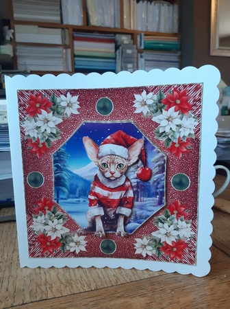Christmas cat card front 6 by Ann Davies