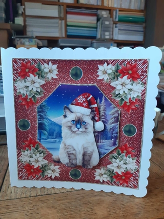Christmas cat card front 7 by Ann Davies