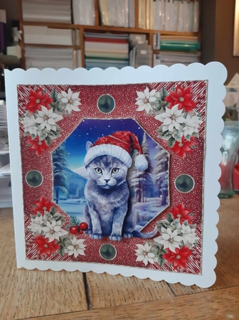 Christmas cat card front 8 by Ann Davies