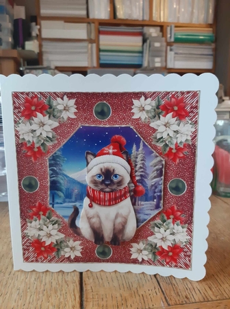 Christmas cat card front 10 by Ann Davies