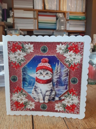 Christmas cat card front 13 by Ann Davies