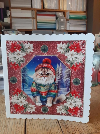 Christmas cat card front 14 by Ann Davies