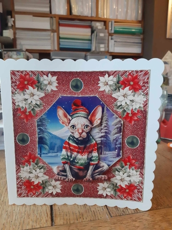 Christmas cat card front 15 by Ann Davies